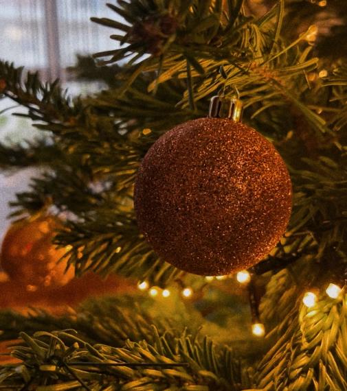 With Thanks for 2025 and Warm Wishes for 2026