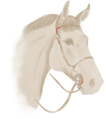 Le Belmont - Chambres