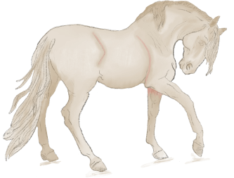 Le Belmont - Design