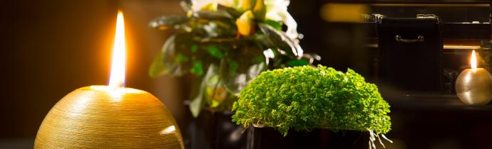 Le Belmont - Design