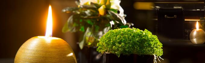 Le Belmont - Design