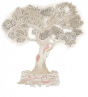 Le Belmont Paris - Histoire